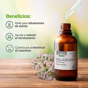 Beneficios de la Valeriana: Cómo Mejorar tu Salud y Sueño de Forma Natural