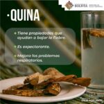 Descubre los Beneficios de la Planta de Quina: Usos, Propiedades y Cultivo