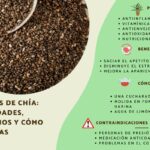 Descubre todo sobre la planta de chía: beneficios, usos y propiedades