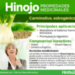 Descubre todo sobre las semillas de hinojo: propiedades, usos y beneficios